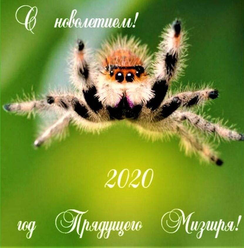 ПОЭМБУКОВСКИЕ ЧАСТУШКИ (от Палыча)