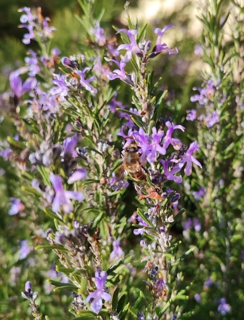 Природа дала сбой