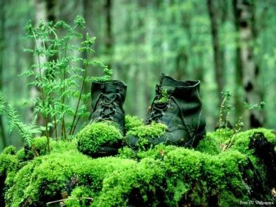 На перепутье...