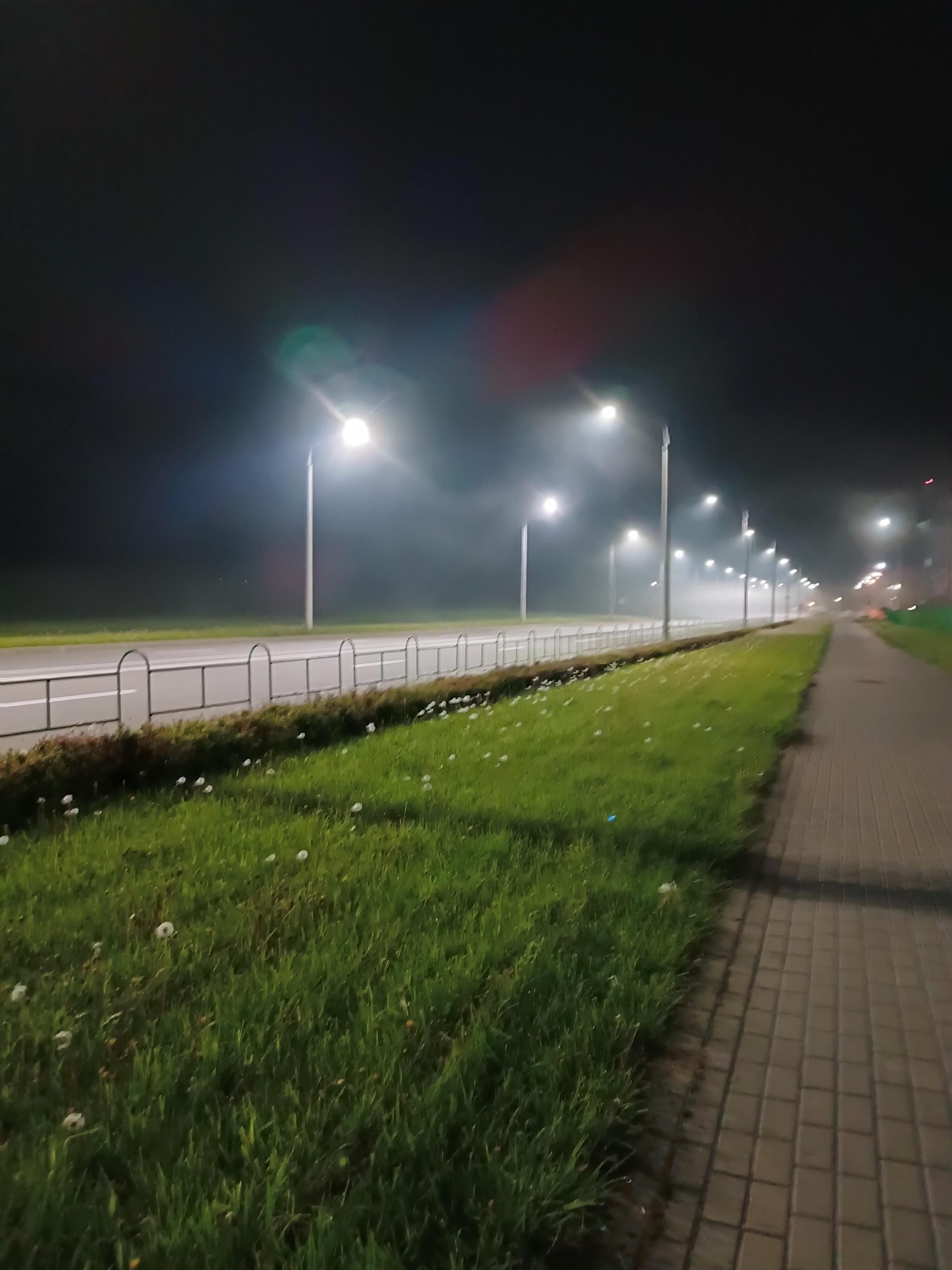 В бетонных джунглях