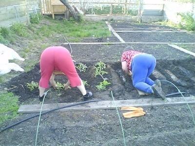 Солнцем вдоволь насладился...