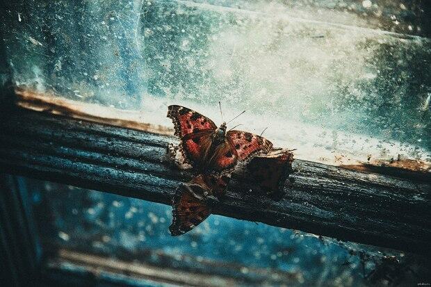 У скомороха нынче выходной... (из цикла посв. Михаилу Горшенёву)