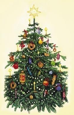 Вифлеемская Звезда