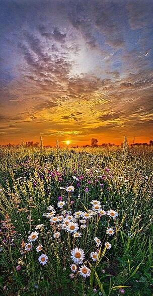 небеса нашептали