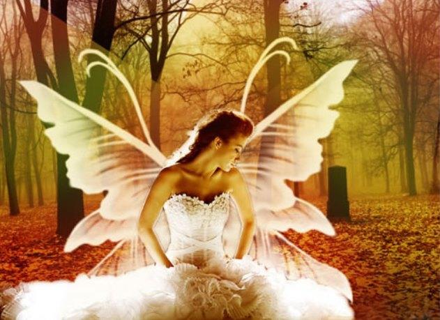 "Ангел мой" (15.10.2014)