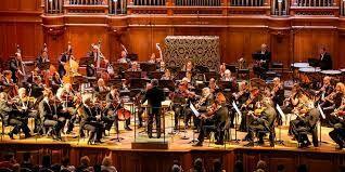 Концерт для мухи с оркестром