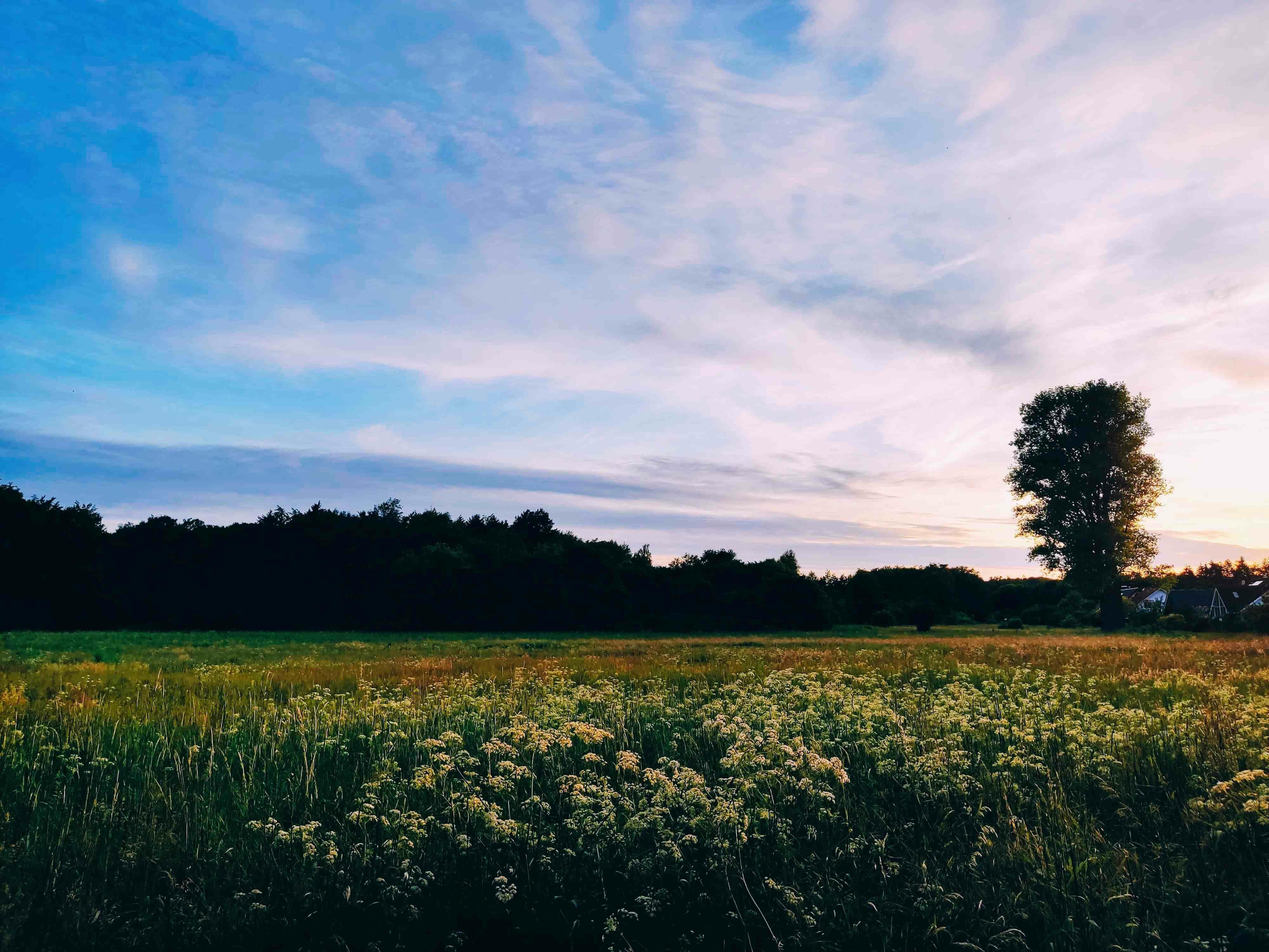 Улыбаясь в облака