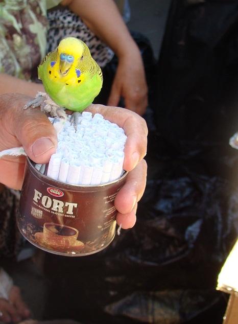 Зовет в ночи гавайская гитара