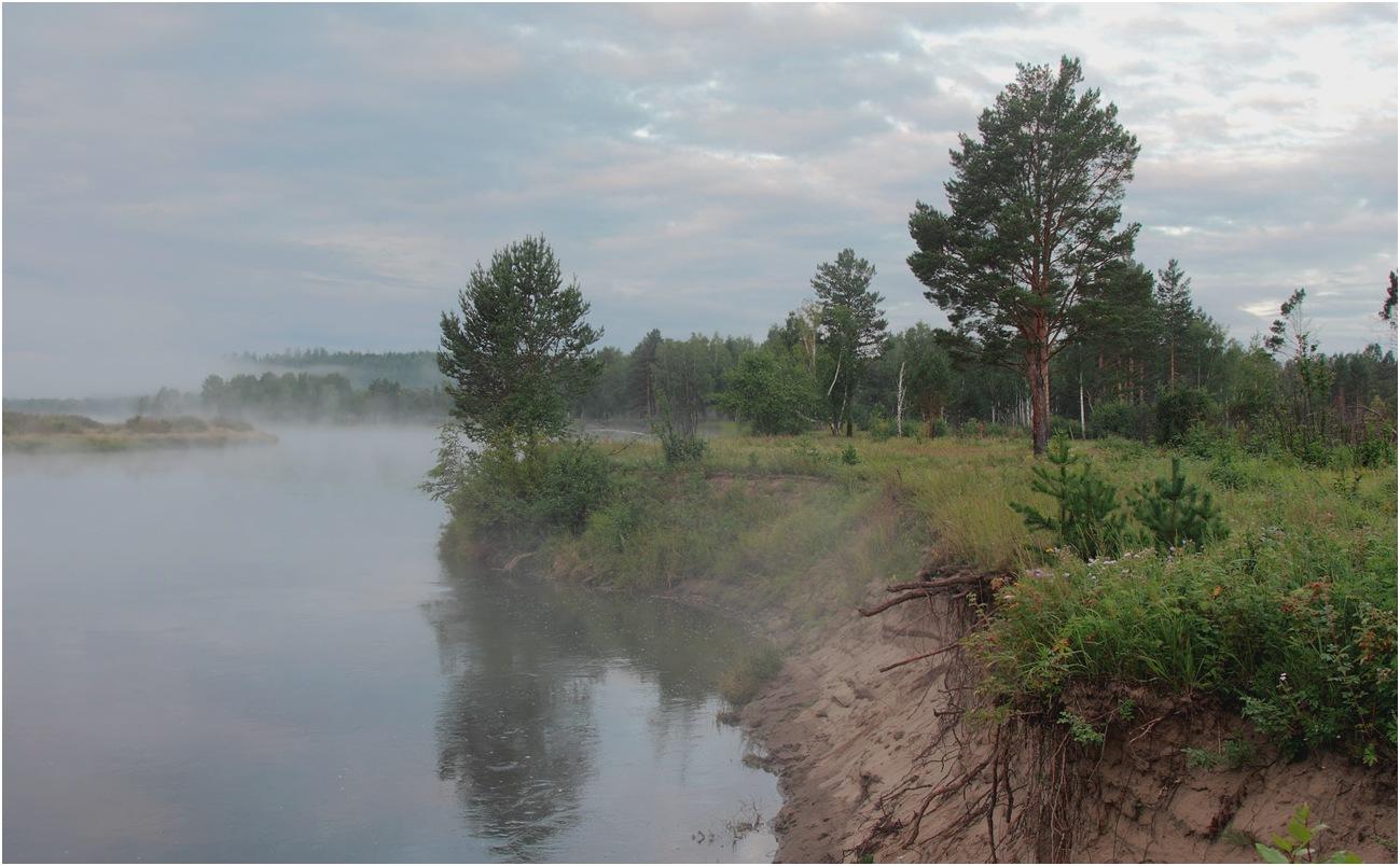 Дорогое утро, здравствуй!