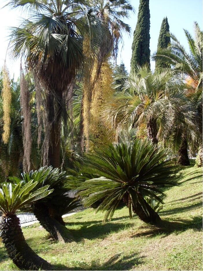 ОСЕНЬ НА ЮГЕ