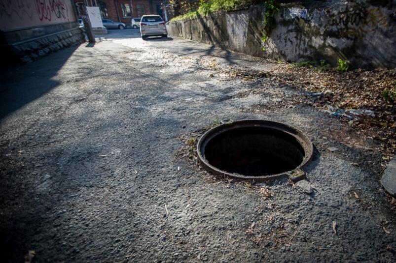 Сегодня видел маленькое чудо