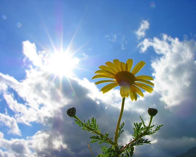 ОГРОМНОЕ ПРОСТРАНСТВО НЕБА