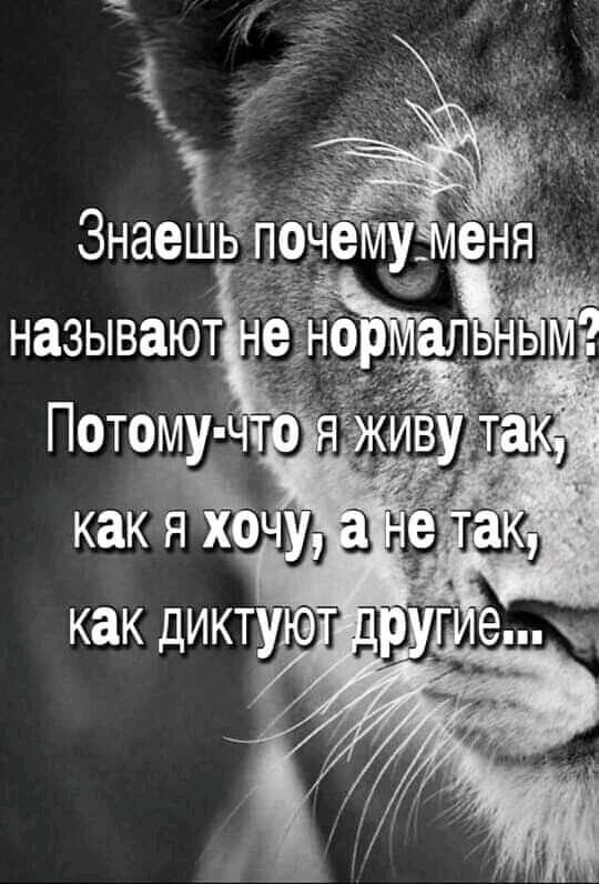 Хреновый...