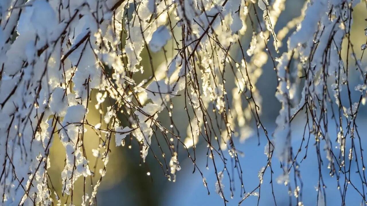 Накануне весны