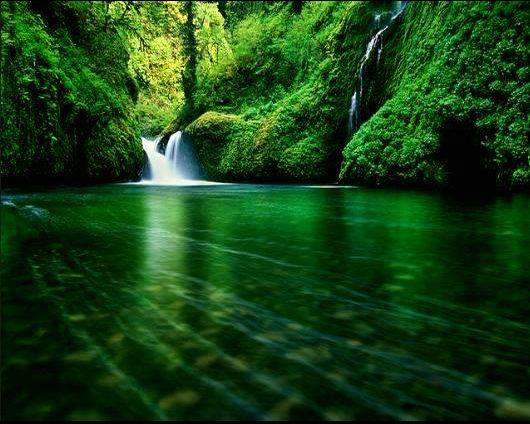 На берегах зеркальных вод