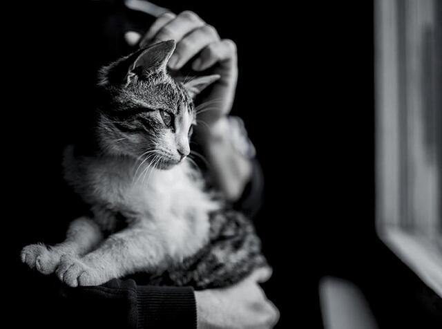 Теплый легкий ветер... перезвон...