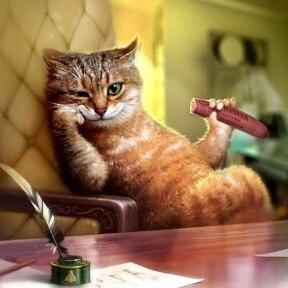 Кот рифмоплёт