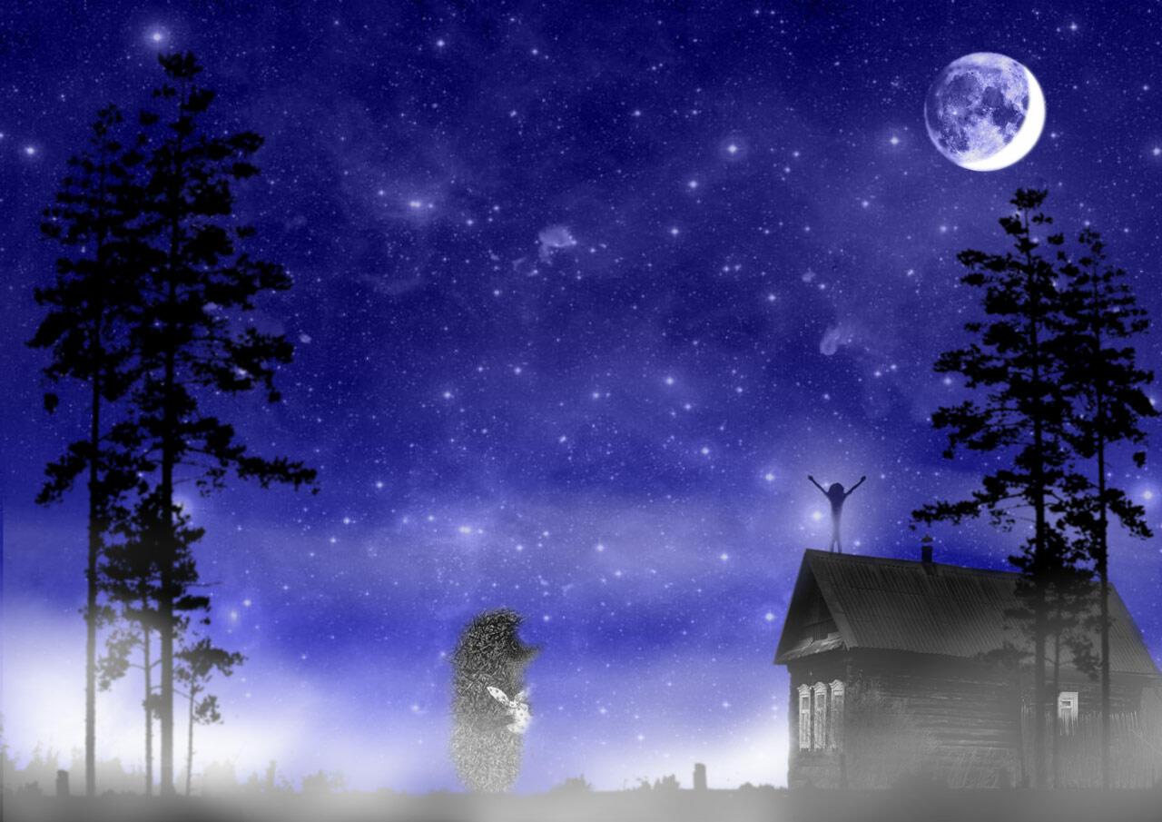 Ночное небо и Луна в деревне