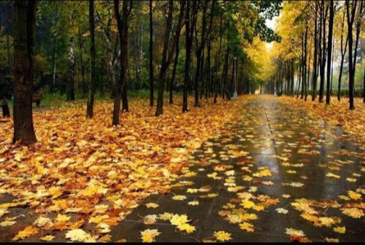 Золотой вальс