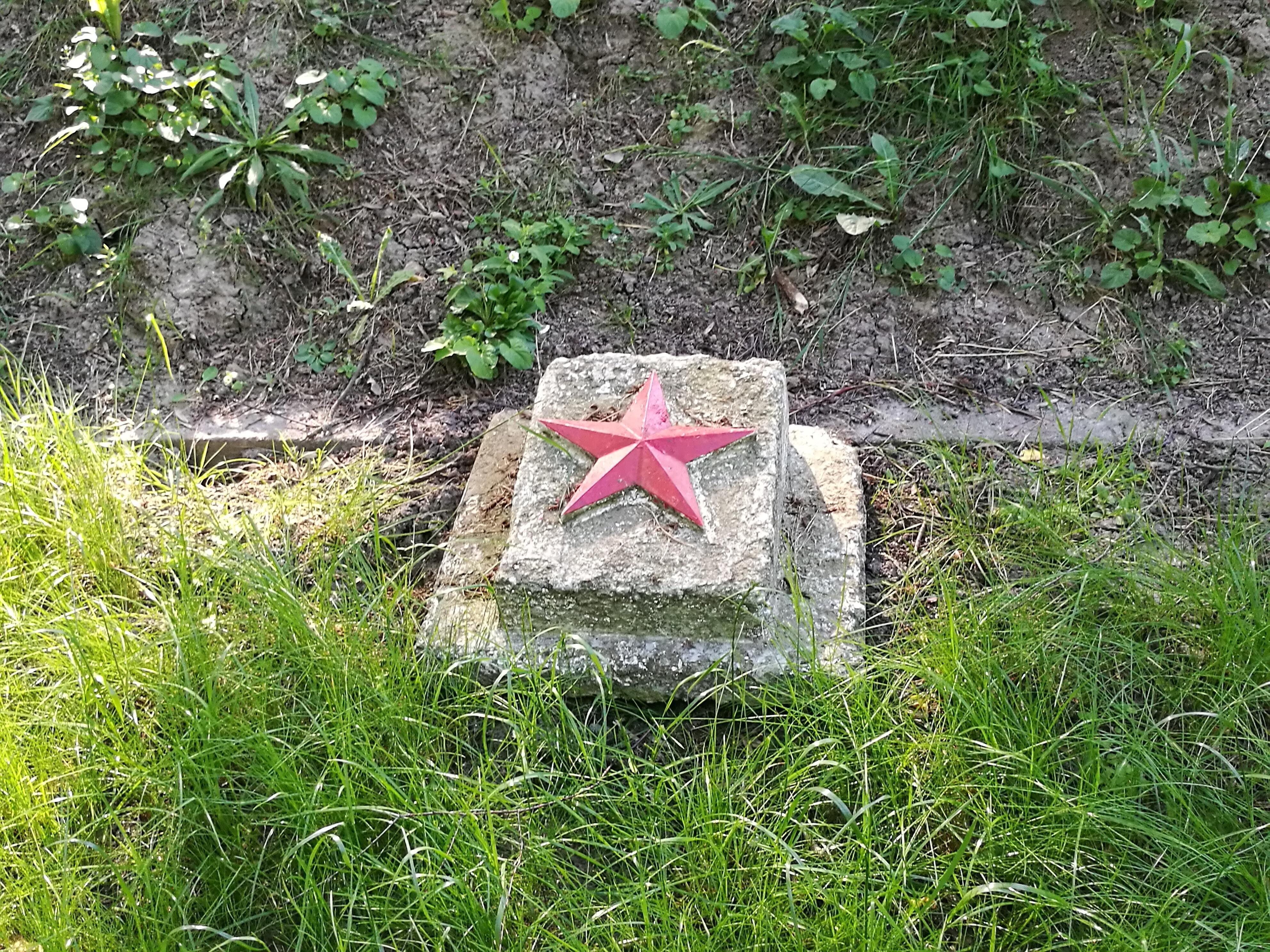 За берёзой милой, солнца рдяный диск ( стихи. Виктор Федянин )