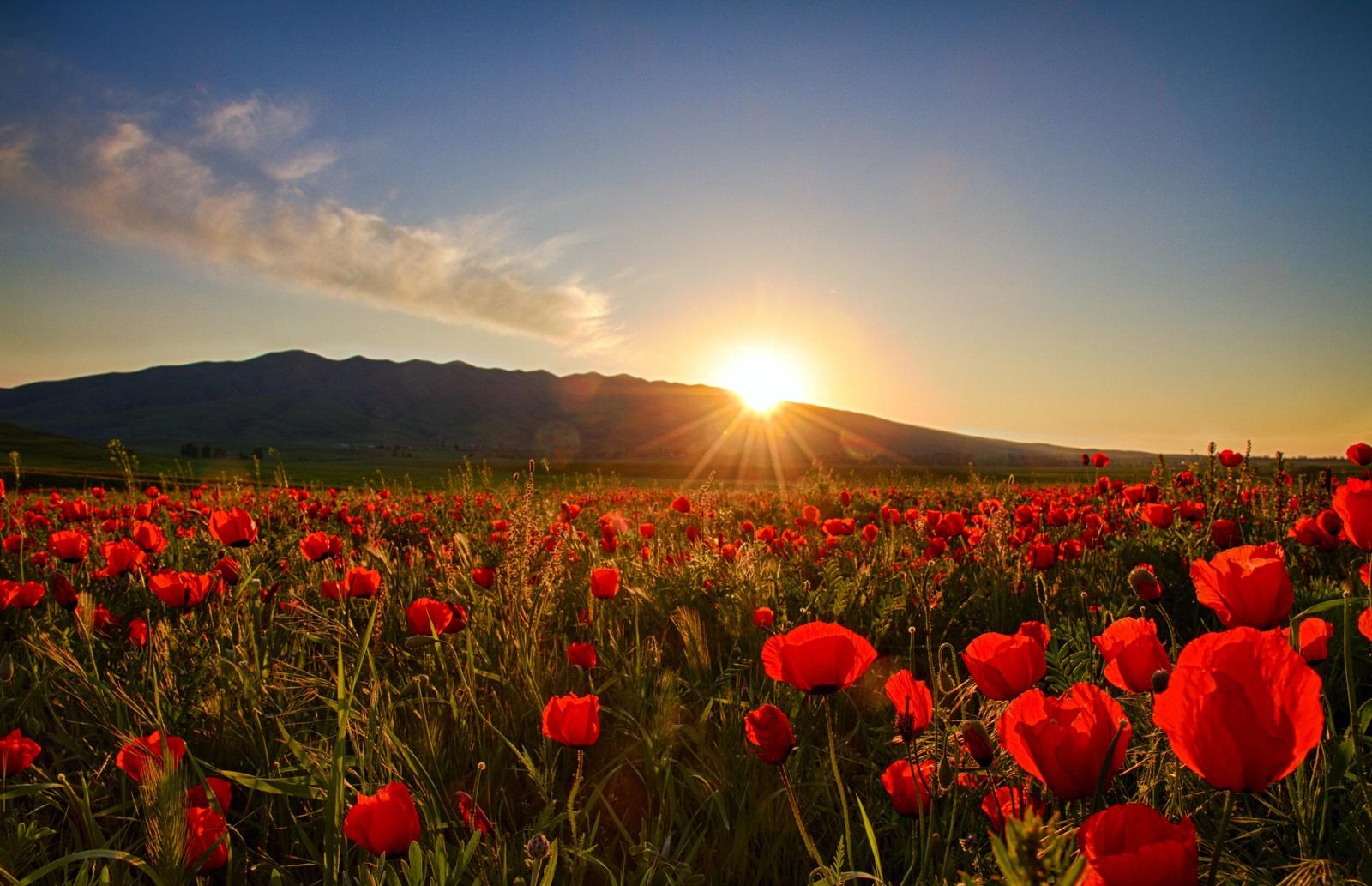 Обитель грез моих светимых!.. (А.Ладыгин)