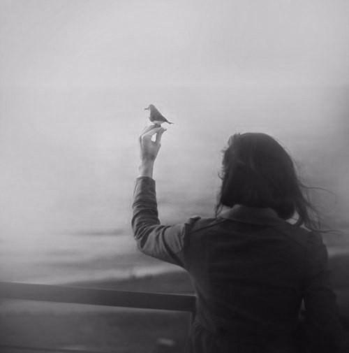 Как глупо всё, что нечего и помнить