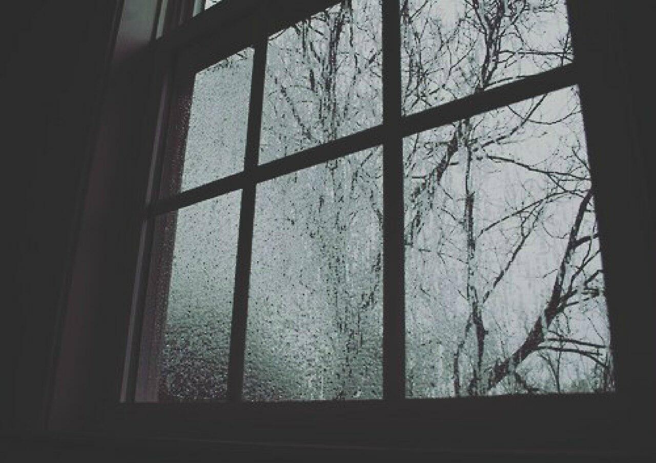 Ветка стучит в окно. Мрачный вид из окна. Открытое окно ночью. Окно пасмурно. Вид из окна дождь.