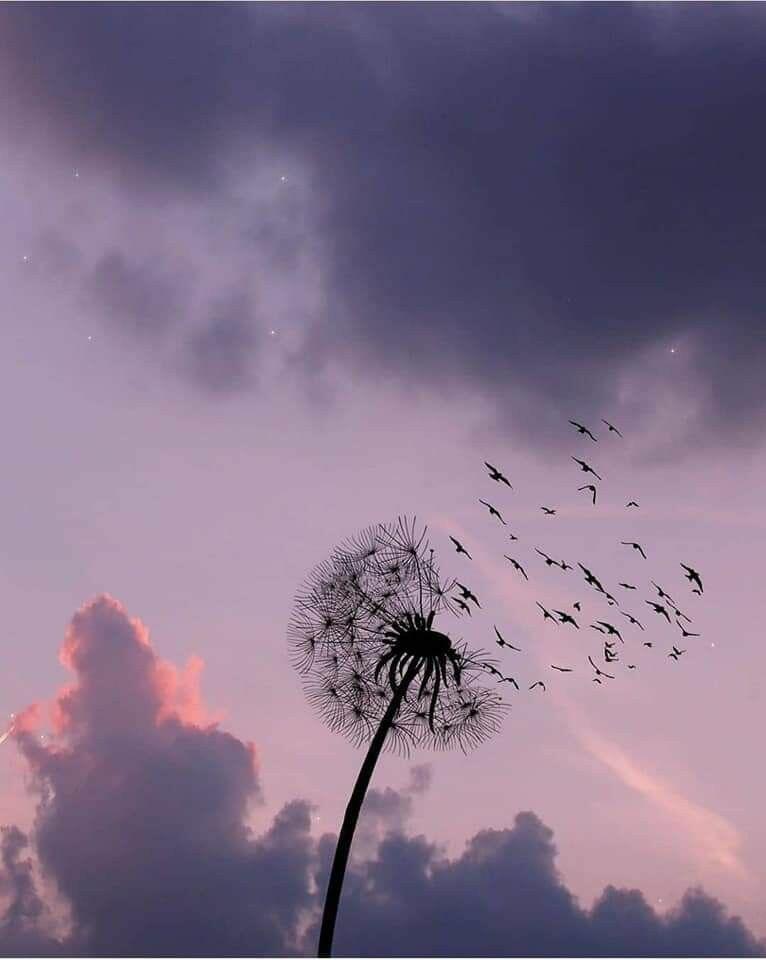 Жить прошлым не стоит наверно