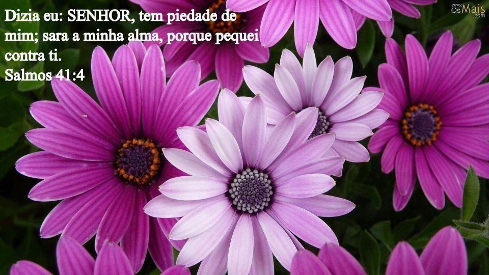 Ты моё земное божество.