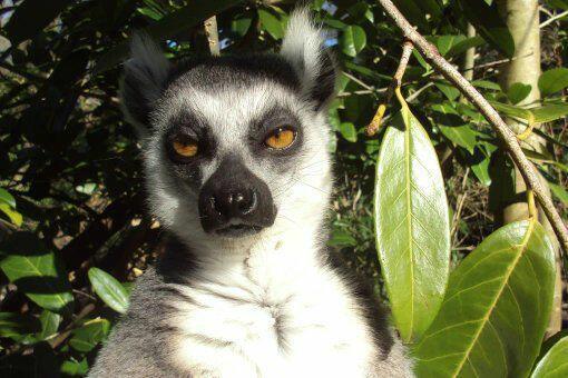 из_мира_праздностей (31 октября*) 