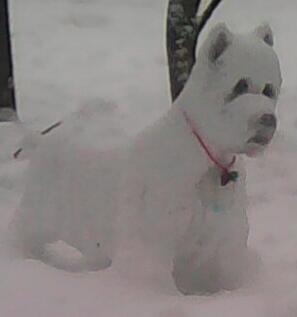 Снежный Пёс.
