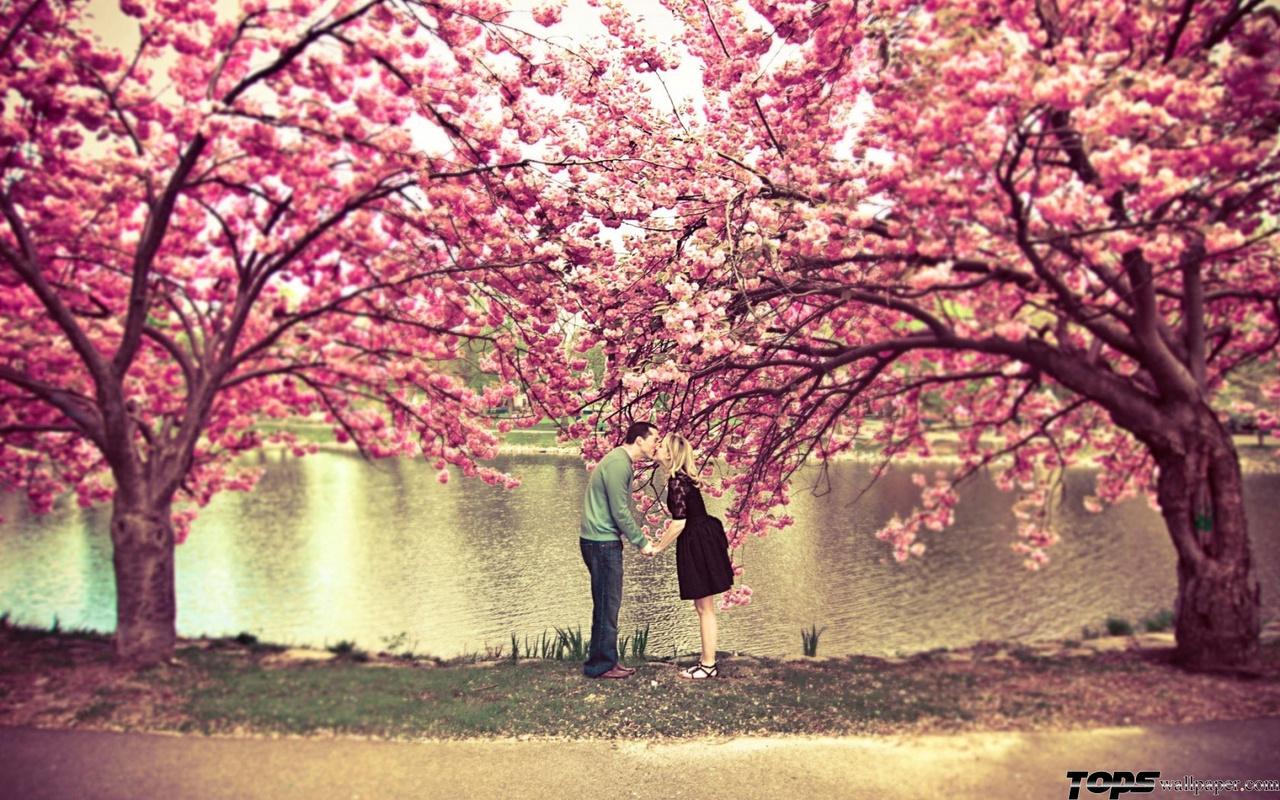 *Кими о эй шитиру*