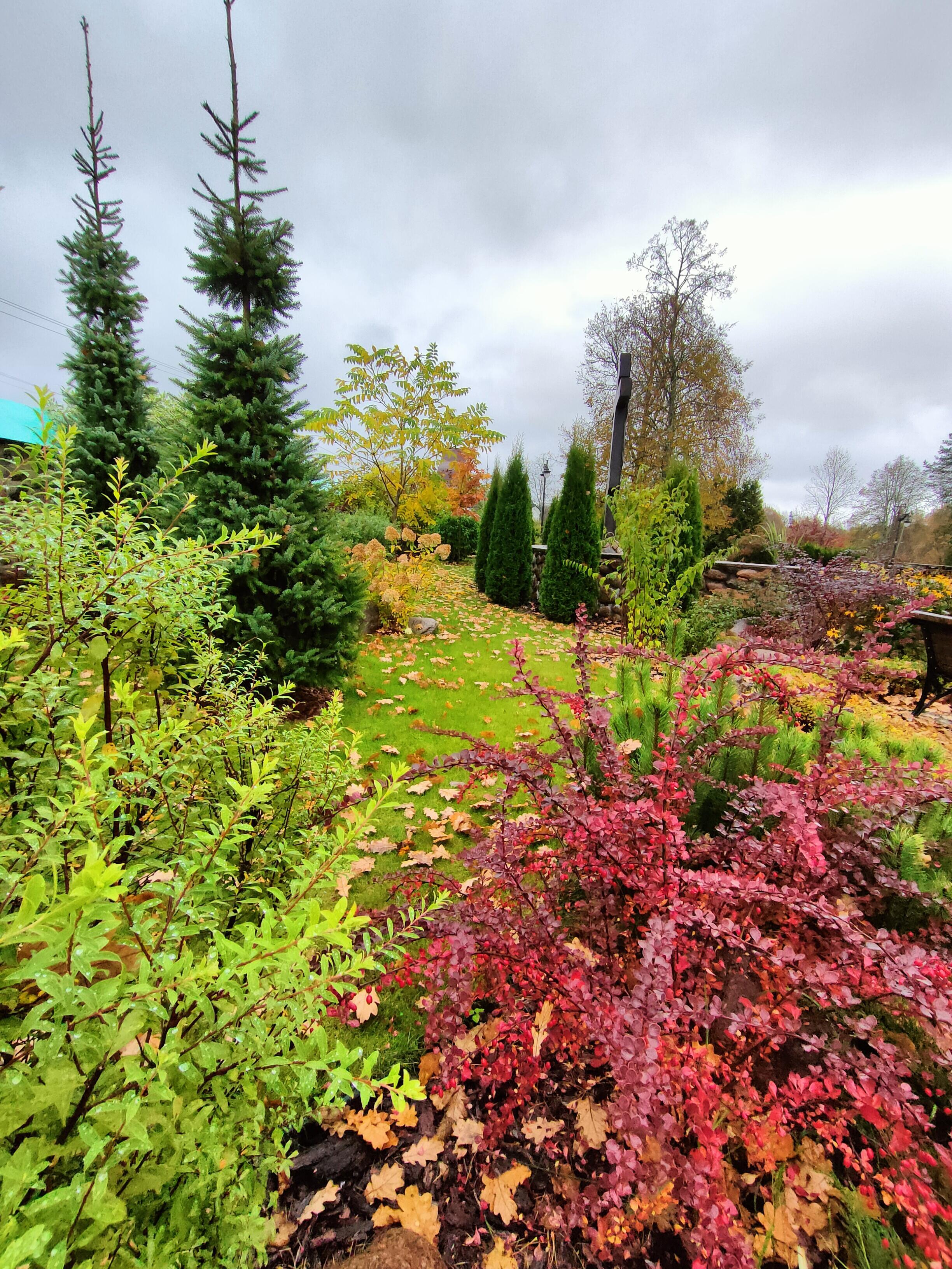 Пенсия пришла!