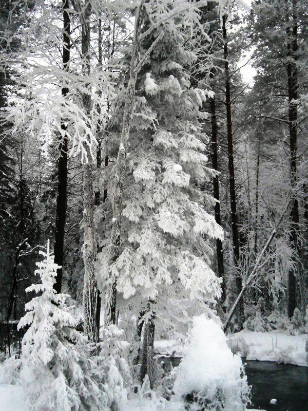 Люблю зиму!