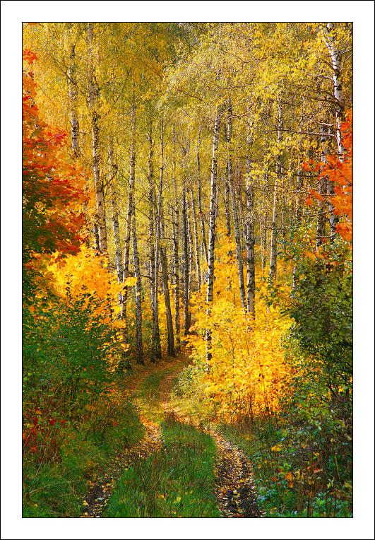 Для восхищенья мало слова