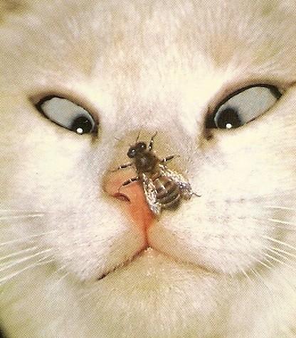 Поймём, мы квиты