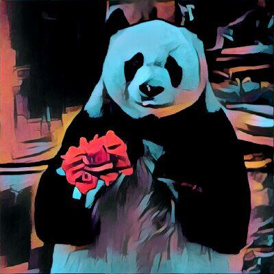 НОВОПРОВИНЦИАЛ: Как Гигпанда Глаша училась играть на фортепиано…