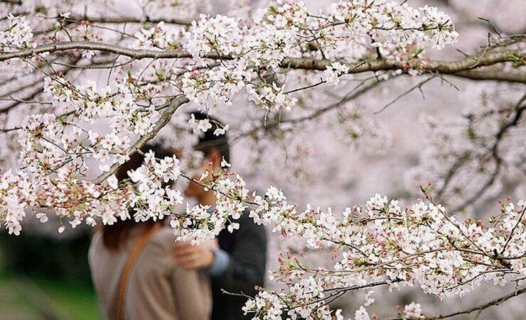 И первый трепет, и усталость...