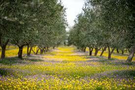 ДОБРО ПОЖАЛОВАТЬ В АПРЕЛЬ