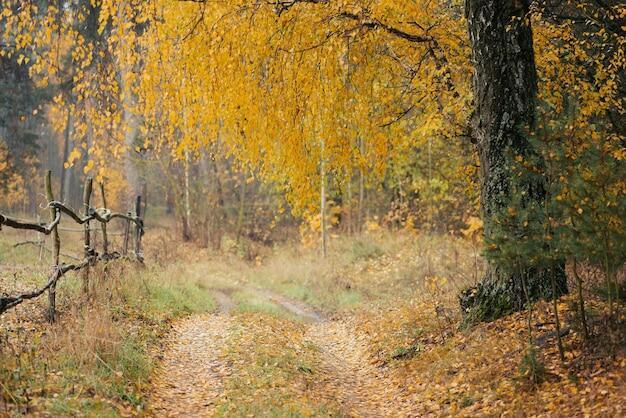 МЫ КРАСОТУ ПРИРОДЫ... 