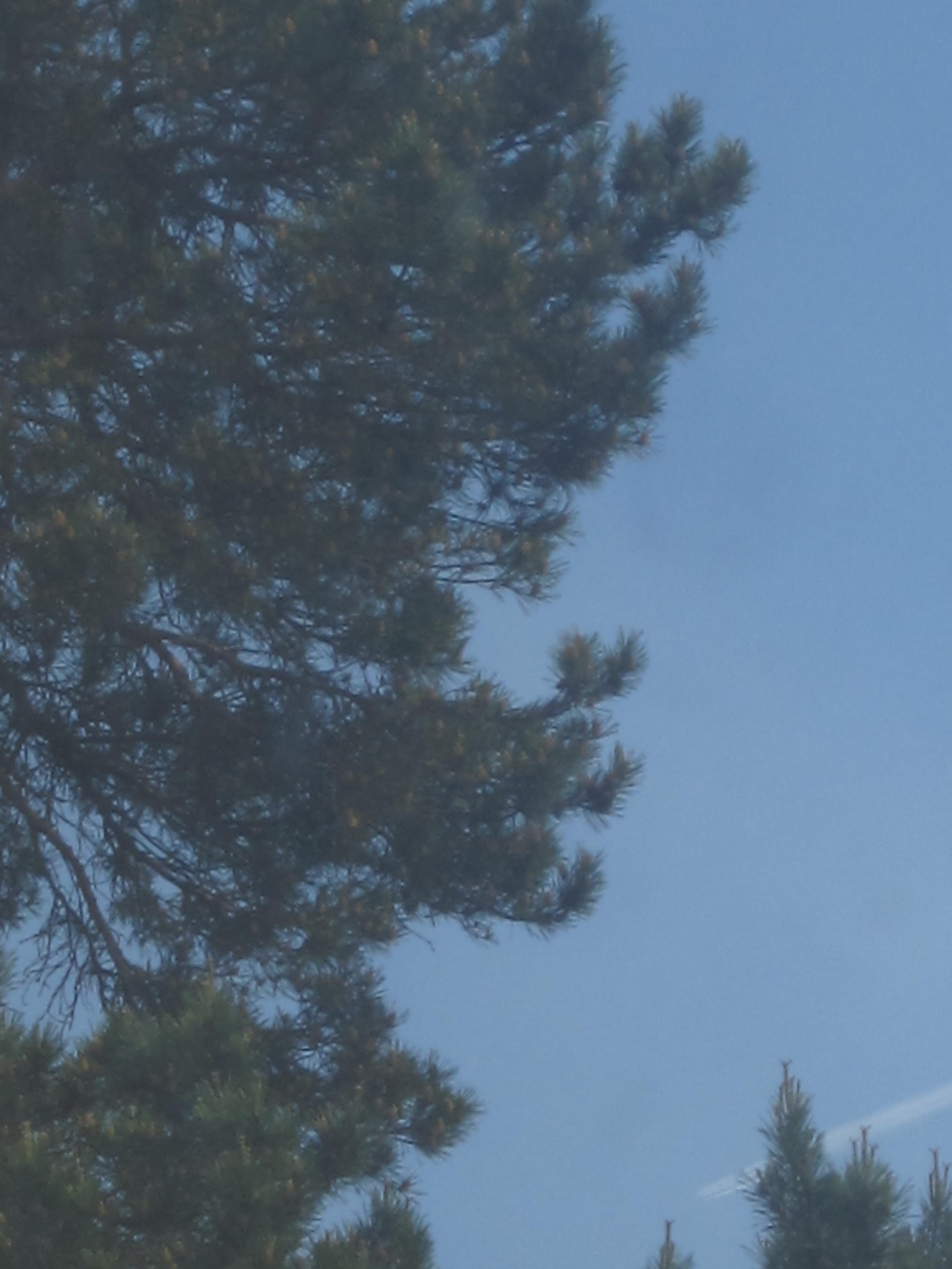 Портрет на фоне неба