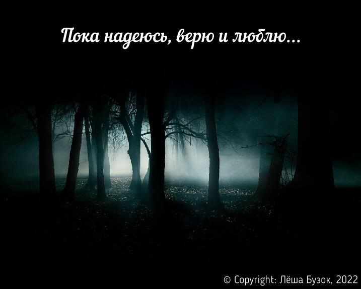 Пока надеюсь, верю и люблю...