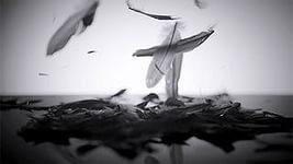 кровавые перья...