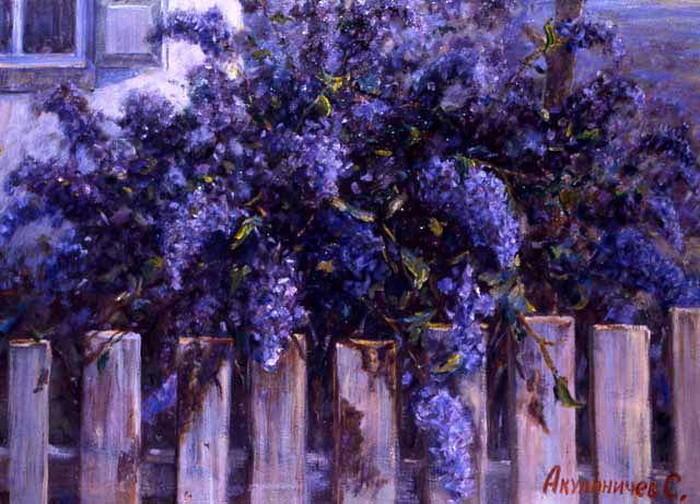 Распустилась сирень