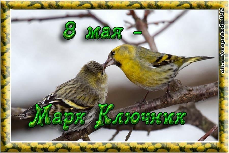 8 МАЯ - МАРК КЛЮЧНИК