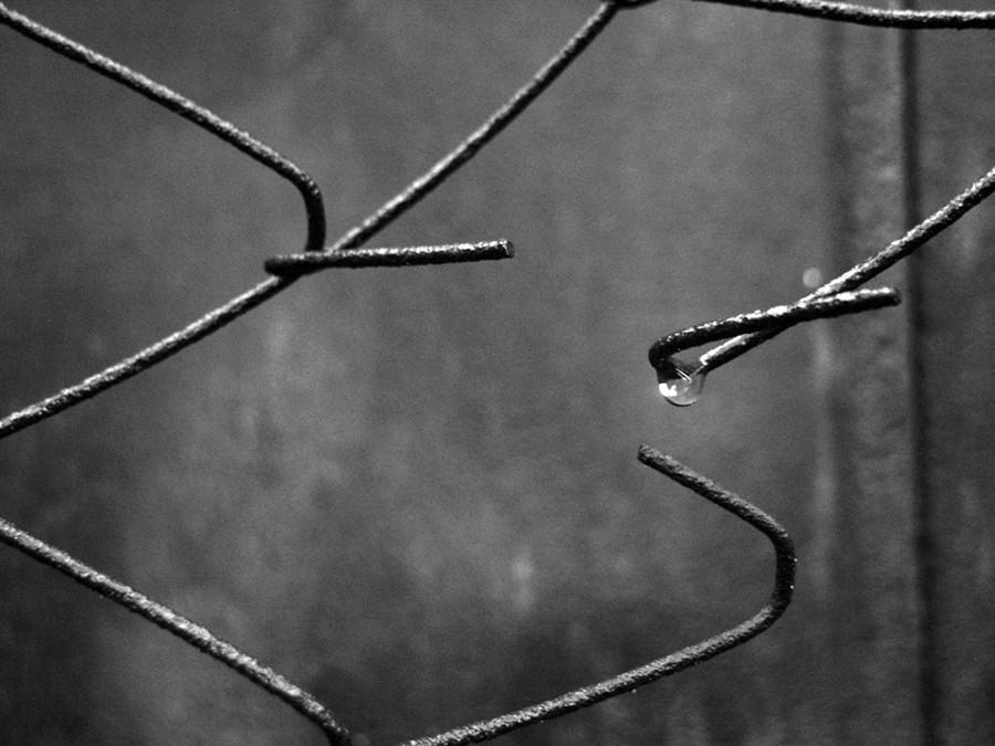 Сохрани меня в своей голове