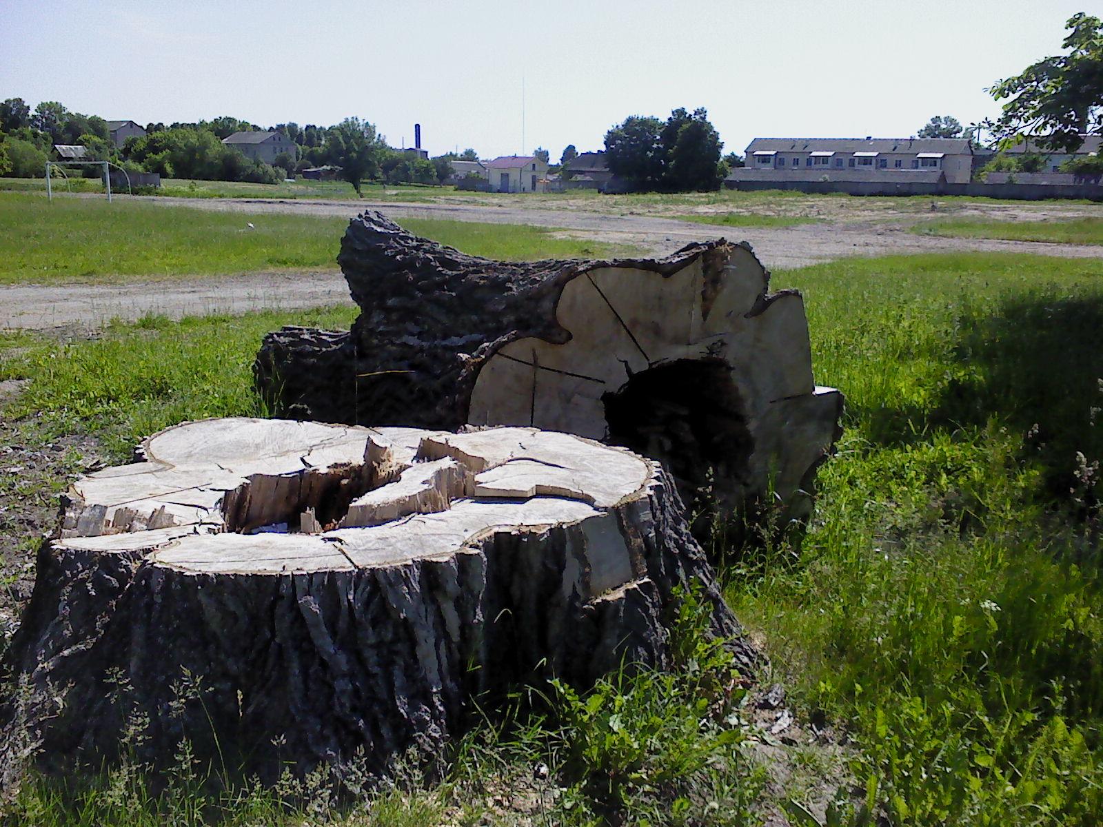 Печально, но нормально...