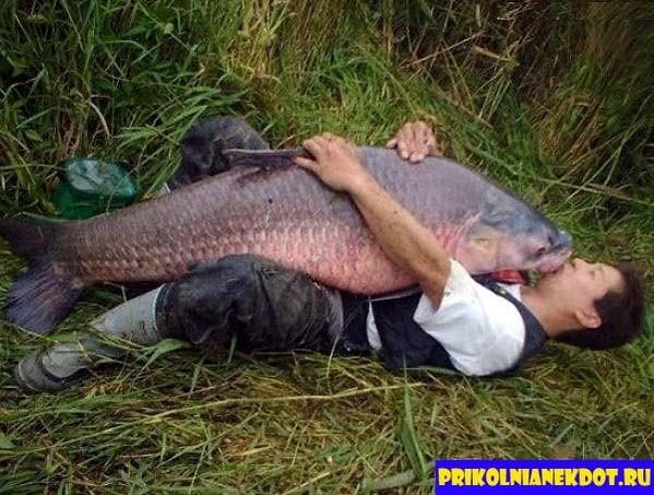 ВСЕМ РЫБАМ - РЫБА - с улыбкой