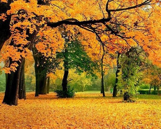 Осенний вальс