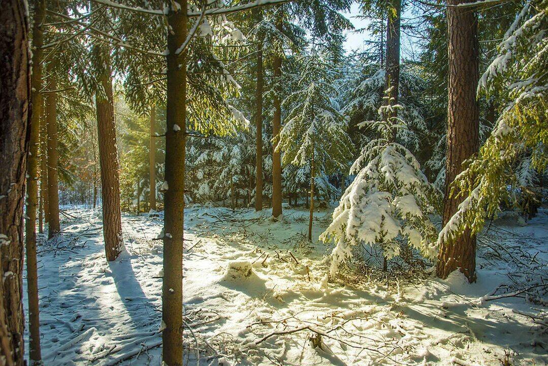 Ранняя весна